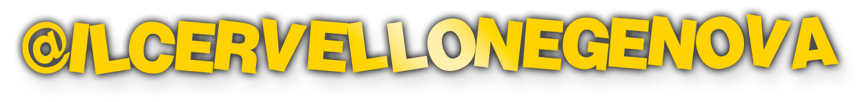 il cervellone